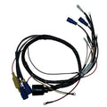 WIRING HARNESS, J/E, 8 CYL (DROP SH