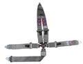 SFI 16.1 CAM-LOCK HARNESS 3' PULL D