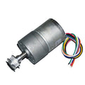 STAR WARNING auto part detail