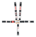 QUARTER MIDGET 5PT. SET,