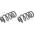 COIL SPRINGS