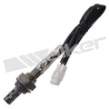 Walker Products Inc. - auto part
