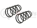 SUBARU FORESTER 0408 COIL SPRING SET