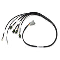Haltech Elite 1000/1500 Terminated Ignition Harness