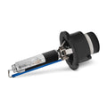 Oracle D4R Factory Replacement Xenon Bulb - 8000K