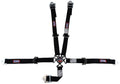 SFI 16.1 CAM-LOCK HARNESS 2' PULL D