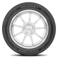 Toyo Celsius II Tire - 205/70R15 96T (TL)