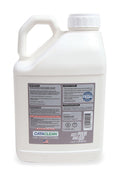 CATACLEAN - GASOLINE - 5L