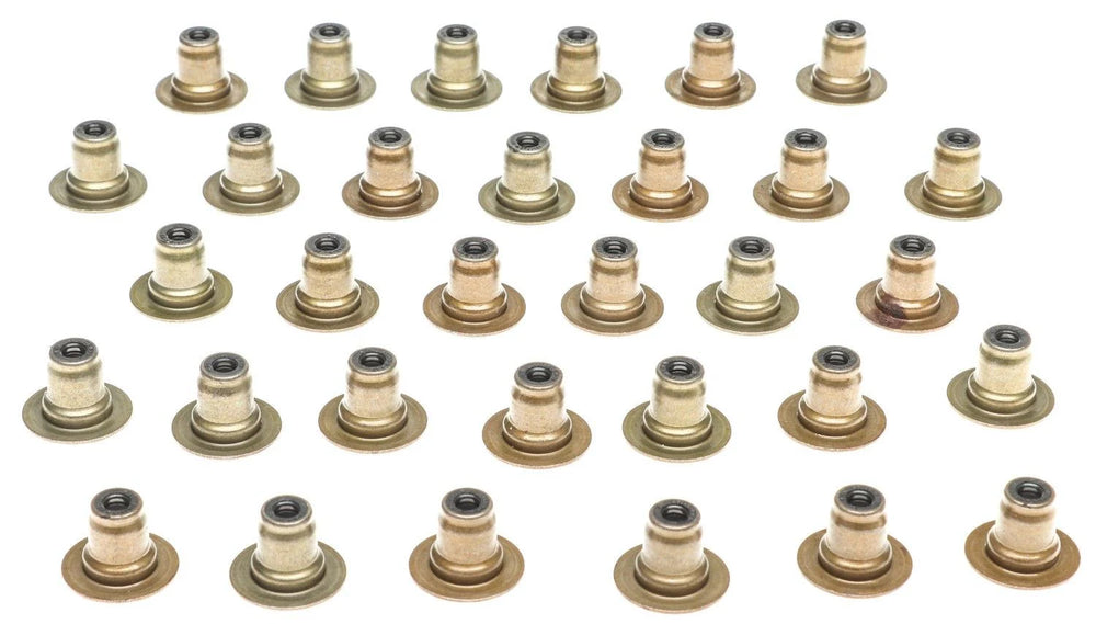 Valve Stem Oil Seal Set