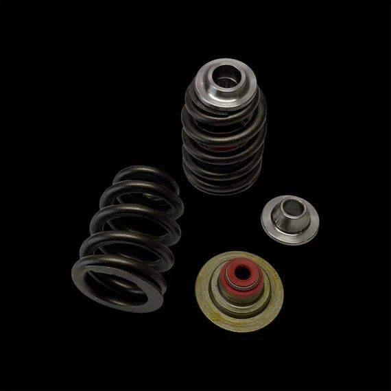 Brian Crower Retainers - Titanium - Polaris XP1000 / XPTurbo