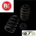 Brian Crower Retainers - Titanium - Polaris XP1000 / XPTurbo