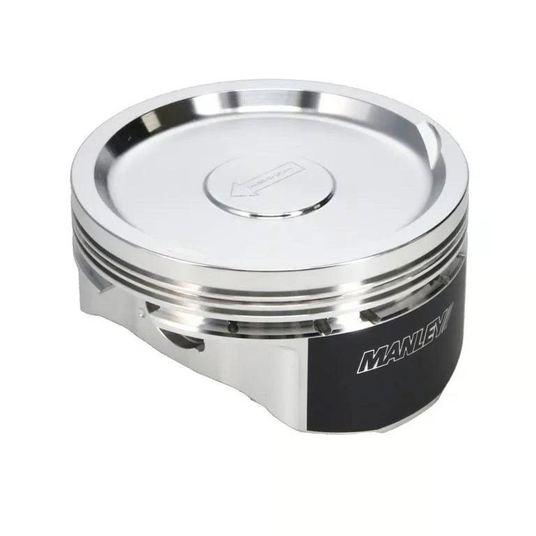 Manley PIST-4.005/1.065CD/31ccDISH EA