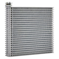 0206 NS ALTMA/0410 NS MAXMA EVA