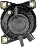 FOG LIGHT