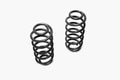MaxTrac 99-06 GM C1500 2WD V6 1in Front Lowering Coils