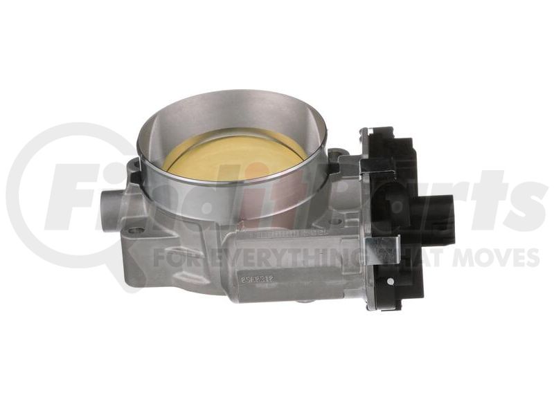 STANDARD IGN throttle body