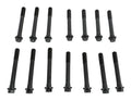 E-Series Pontiac Head Bolt Kit #85612