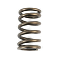 Valve Springs - 1.045