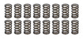 Valve Springs - 1.045