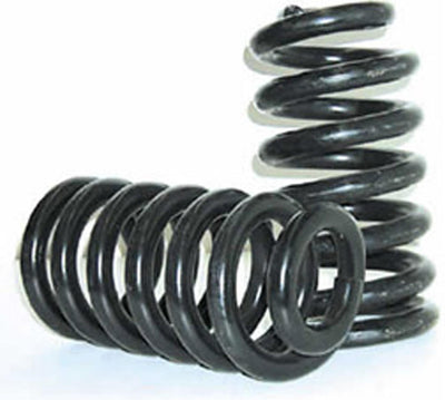 Brothers Trucks springs