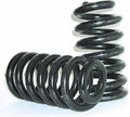 Brothers Trucks springs