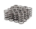 Valve Spring
