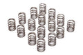 Brian Crower Honda D16Y8/D16Z6 Single Valve Spring