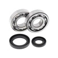 All Balls Racing 86-88 Suzuki RM250 Crank Shaft Bearing Kit