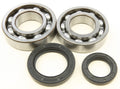 All Balls Racing 85-92 Suzuki LT-250R Crank Shaft Bearing Kit