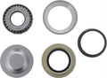 STEERING KING PIN SEAL AND BEARING KIT DANA 60 R