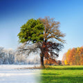 FOUR SEASONS auto part