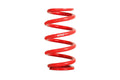 Eibach springs close-up