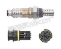 Walker Products Inc. - auto part