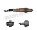 Walker Products Inc. - auto part