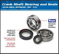 All Balls Racing 85-86 Honda ATC250R Crank Shaft Bearing Kit