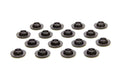 PAC RACING SPRINGS springs