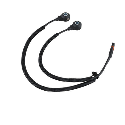 DELPHI auto part