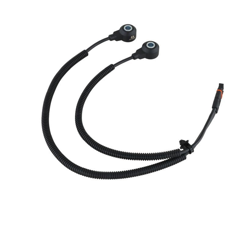 DELPHI auto part