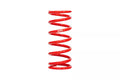 Eibach springs detail