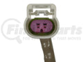 STANDARD IGN exhaust detail