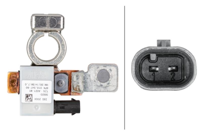 INTELLIGENT BATTERY SENSOR