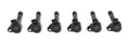 Ignition Coil 6-Cylinder Black Individual Fits 1999-2010 Honda Accord, Odyssey 3.0, 3.5L And Acura Cl, Tl, Rl ACCEL