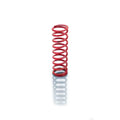 Eibach springs close-up