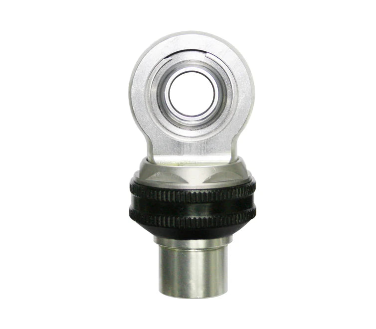 SHOCK ENDALUM ADJ CLEAR