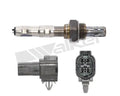 Walker Products Inc. - auto part