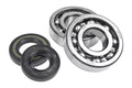 Athena 94-01 Kawasaki KX 250 Main Bearing & Seal Kit