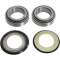 Pivot Works 14-17 Honda CRF250R Steering Stem Bearing Kit