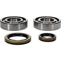 All Balls Racing Crank Bearing Kit