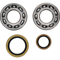 All Balls Racing Crank Bearing Kit