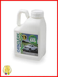 CATACLEAN- GAS 3L FUEL/EXHAUST SYSTEM